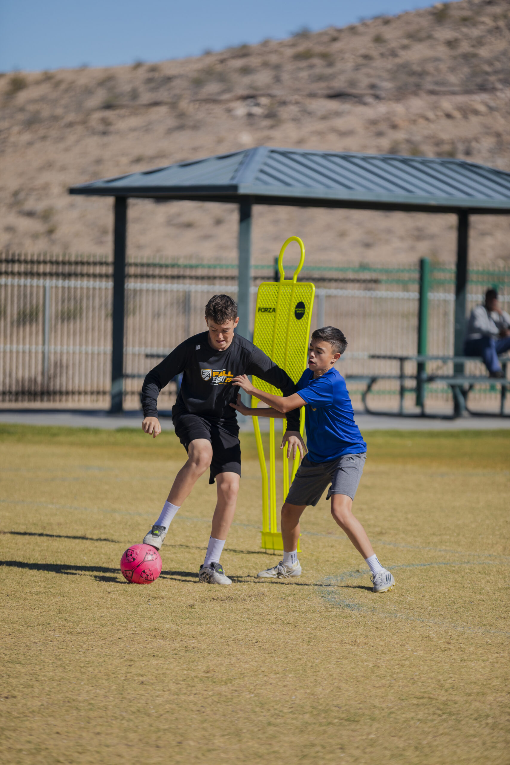 Player Development